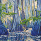 original oil painting by Nicole Athena of cypress trees in swamp with reflections on water